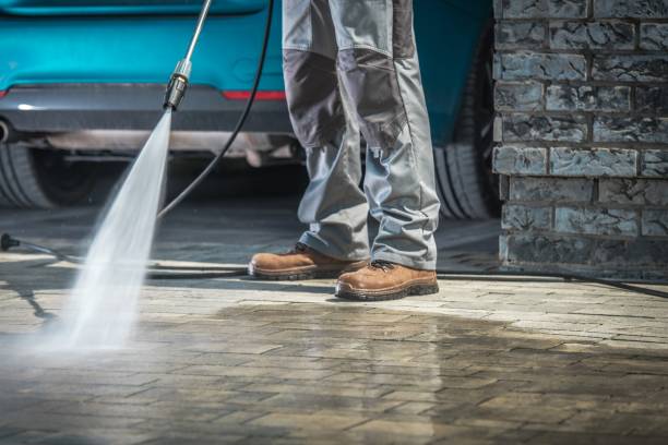 Best Paint Preparation  in Batavia, NY