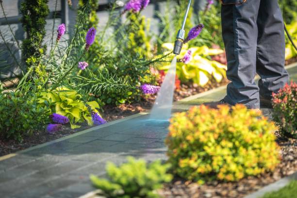 Best Winterizing Services  in Batavia, NY