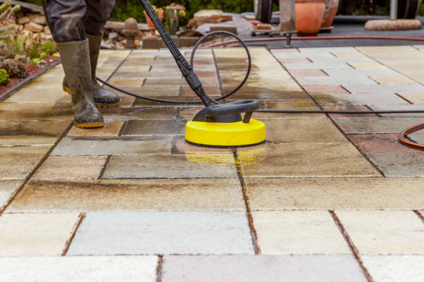 Best Animal Enclosure Cleaning  in Batavia, NY